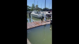Rising tide in Cambridge, Maryland, USA