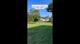 Dachshund hilariously ignores every call — except ‘cheese’