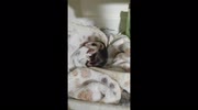 temp