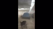 temp