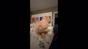 temp