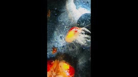 Big Sandy Crayfish Hatchlings Mark Milestone in Conservation Effort