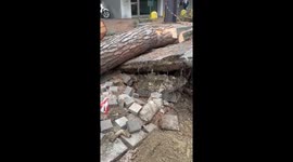 Italy: Supercell Storm Hits Emilia-Romagna, Leaving Trail of Destruction in Milano Marittima