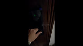 A Cow Cat Crawling Away