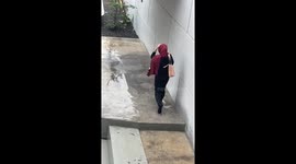 Girl rushing home in the rain gets saved by an umbrella blown by the wind