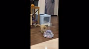 temp
