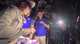 Rampaging wild elephant tramples farmer to death in Thailand