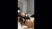 temp