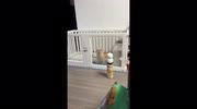 temp