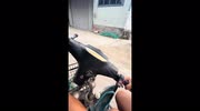 temp