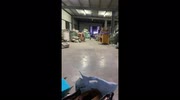 temp