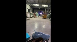 Cat in black shirt and funny grey wig spotted in Guangdong, China