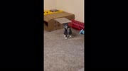 temp