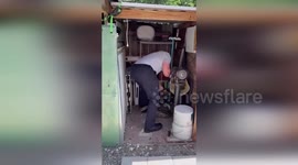 US: Fire Rescue Captures Invasive Burmese Python In Miami-Dade