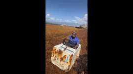 Content creator goes viral with old fridge, crown and satirical lip-sync on Jamaica beach
