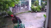 temp