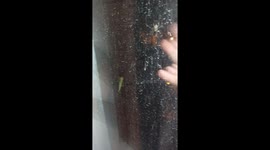 Russian man stunned by spider catching praying mantis on his window