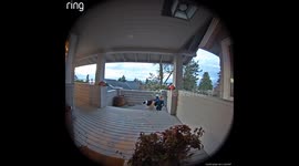 Little boy climbs stairs to deliver package to neighbor with adorable excitement