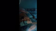 temp