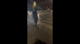 Samoys Getting Miffed with Its Owner