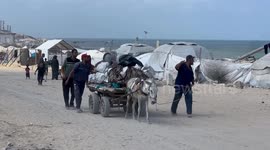 Israel's renewed northern Gaza offensive triggers fresh wave of civilian displacement