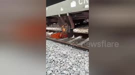 Railway police in Begusarai, Bihar saved a woman and a girl from a goods train running over them