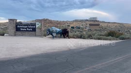 Bison knocks over sign after using it as scratching post in Utah