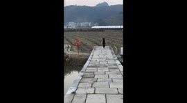 Cute Puppy's Playful Race Ending in a Splash