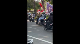 Cat injured on street in Renon, Bali, Indonesia