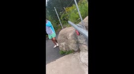 Zoo visitors return ball after bear threw it out of enclosure