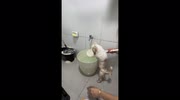 temp