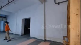 Swift Strike: A Five-Count of Flying Daggers