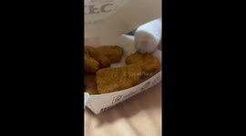 A Kitty Attempting to Steal Chicken Nuggets