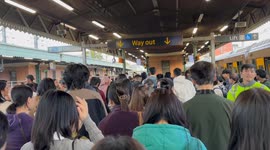 Replacement bus service between Strathfield and Lidcombe stations due to track work in Sydney, Australia
