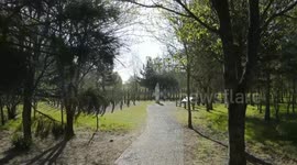 UK: Daughter of Lisbon Maru survivor recounts heroic WWII rescue by Chinese fishermen