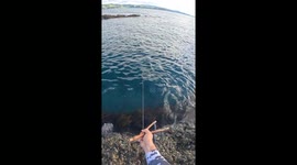 Still can't believe this happened. Managed to harvest this big snapper with my homemade slingshot. Deep here in New Zealand