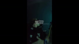 What lurks underwater at night