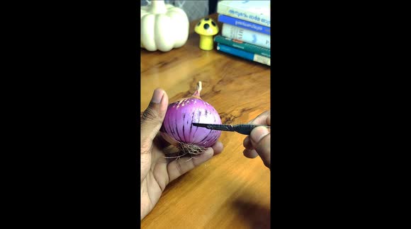 What lies beneath: Viral microscopy reveals onion’s hidden ecosystem