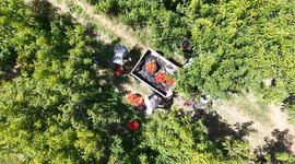 China: SCO markets develop growing taste for Chinese fresh produce