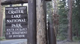 Conservationists battle to save critically endangered Mazama Newts