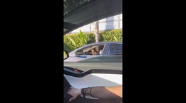 Owl Rides In Passenger Seat