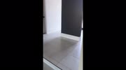 temp