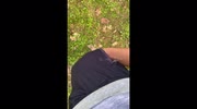 temp