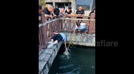 Man jumps into water to save drowning dog in heroic rescue