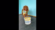 temp