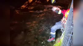 Italy: Cat Rescued From Stream Pipe In Polcenigo