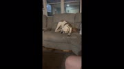 temp