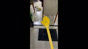 temp