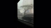 temp