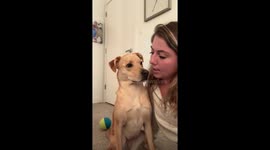 'Mom, please don’t sing': Sassy lab’s musical protest goes viral